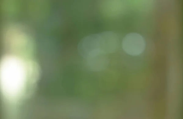  evde cam pencere çerçevesi üzerinde bulanık ışık