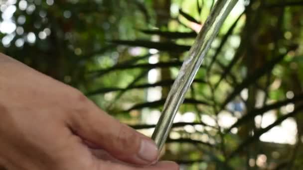 Main Mettant Sur Écoulement Eau Éclaboussures Dans Jardin — Video