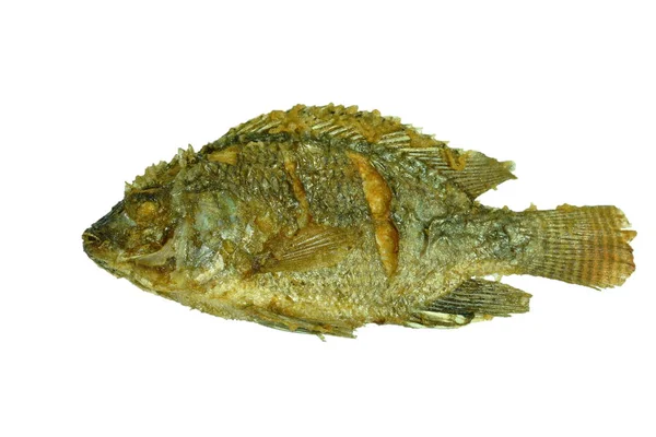 Βαθιά Τηγανητά Αλμυρή Mngo Tilapia Ψάρια Λευκό Φόντο — Φωτογραφία Αρχείου