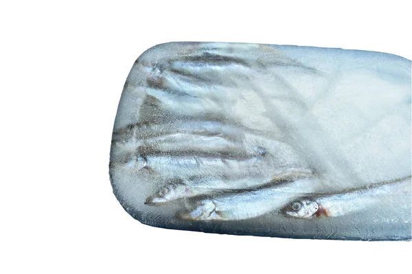 生カペリン魚またはシシャモの日本語で氷の上に凍った — ストック写真