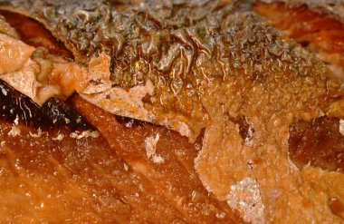 Yağda kızartılmış saba balığı ya da tabakta soya sosu olan uskumru.