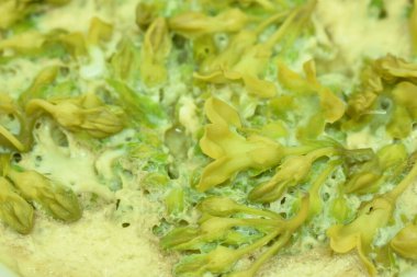 Buharda pişmiş yumurta dolması.