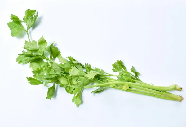 Frischer Chinesischer Sellerie Mit Wassertropfen Auf Weißem Hintergrund — Stockfoto