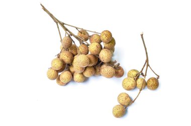  Beyaz arka planda dalda Longan tropikal meyvesi