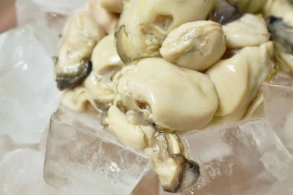 テーブルの上のボウルに新鮮な牡蠣のトッピングアイスキューブ — ストック写真