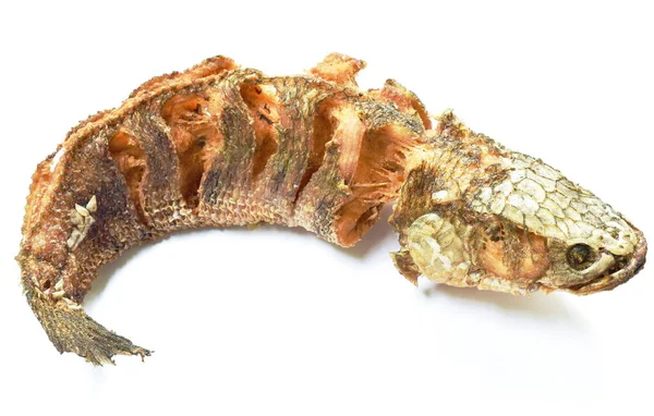Peixe Cabeça Cobra Listrada Frita Com Sal Fundo Branco — Fotografia de Stock