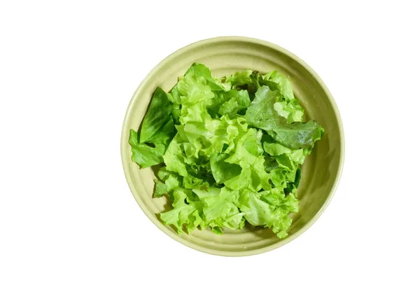 Snijd Verse Groene Eik Sla Salade Kom Witte Achtergrond — Stockfoto