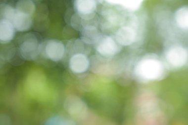 Bahçenin arka plan ve dokusunda bulanık ışık ve bitki