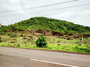 Dağın yanındaki yol bitkilerle ve ağaçlarla kaplı..