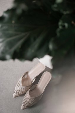 Güzel ve Zarif Düğün Ayakkabıları