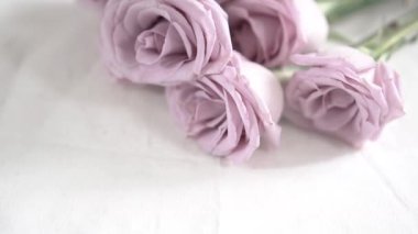 Beyaz arkaplanda pembe ya da mor bir gül