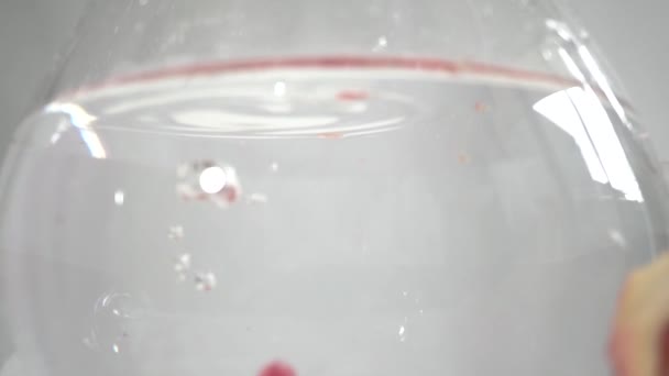 Pomegranate Seeds Glass Water — Stock Video