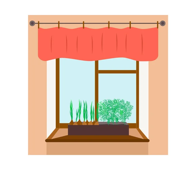 Cebola e endro crescendo em uma janela de casa — Vetor de Stock