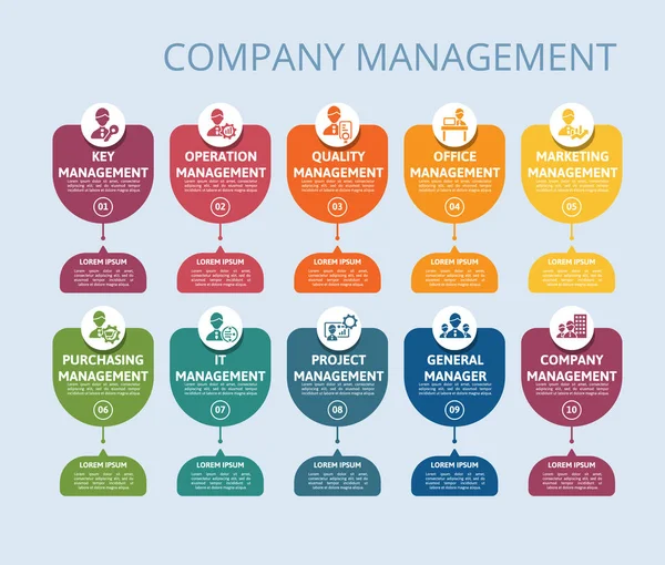 Modelo Infográfico Vector Company Management Inclua Qualidade Gerenciamento Escritório Gerenciamento —  Vetores de Stock