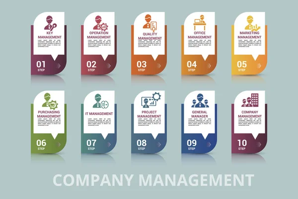 Vector Company Management Infografik Vorlage Dazu Gehören Qualität Büromanagement Marketing — Stockvektor