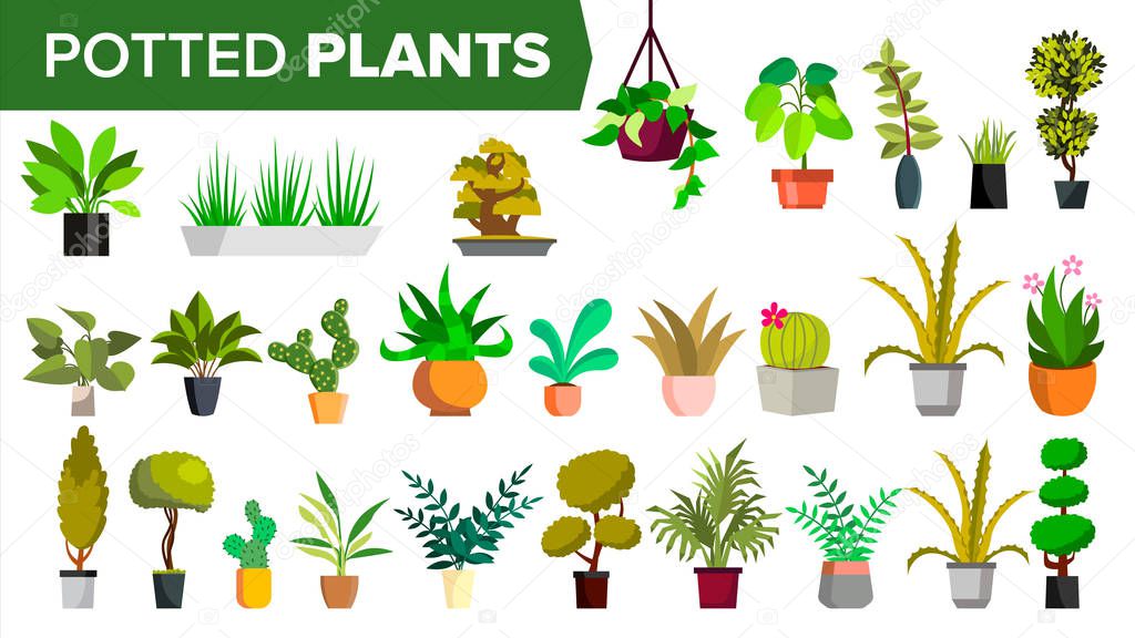 Potted Plants Set Vector. Green Color Plants In Pot. Indoor Home, Office Modern Houseplants. Various. Floral Interior Icon. Decoration Design Element. Isolated Illustration