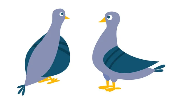 Голуб вектор. Голуба птаха. Ізольована мультфільм ілюстрація — стоковий вектор