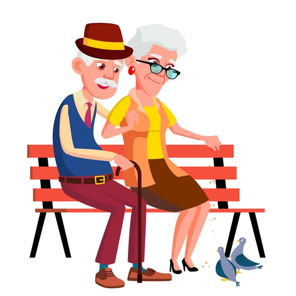 Elderly Couple Sitting On Bench In Summer, Autumn Park Vector. Isolated Illustration — Stock Vector