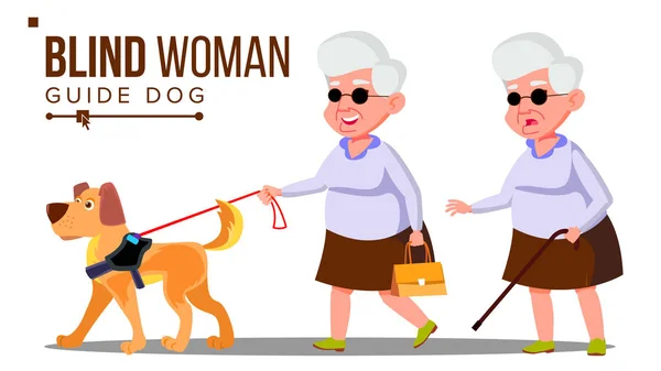 サングラス、杖を持つ古い女性を手で視覚障害者し、犬のベクトルをガイドします。孤立した漫画の実例 — ストックベクタ