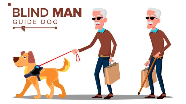 Slepý stařec tmavé brýle, hůl v ruce a vodícího psa vektoru. Izolované kreslený obrázek — Stockový vektor