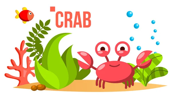 Crab Vector. Mar, fundo do oceano com algas e peixes. Ilustração plana isolada dos desenhos animados — Vetor de Stock