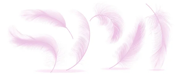 Pink Feathers Set Vector. Different Falling Fluffy Twirled Feathers. Healthy Sleep, Dreams. Isolated Illustration — Stock Vector