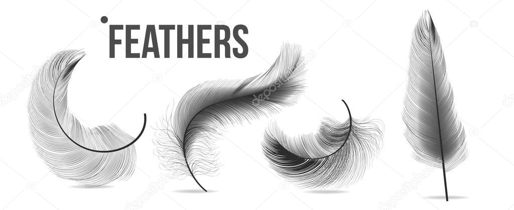 Black Feathers Set Vector. Feather Bird, Soft Plume Design. Isolated Illustration