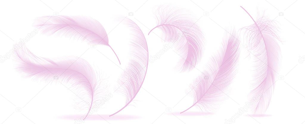 Pink Feathers Set Vector. Different Falling Fluffy Twirled Feathers. Healthy Sleep, Dreams. Illustration