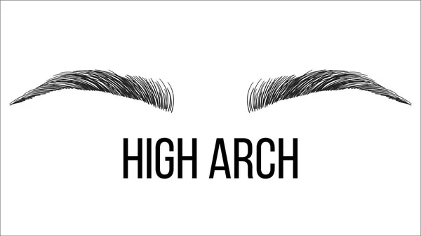 High Arch Vector Hand Drawn Brows Shape