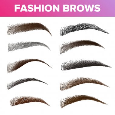 Fashion Brows Various Shapes And Types Vector Set clipart