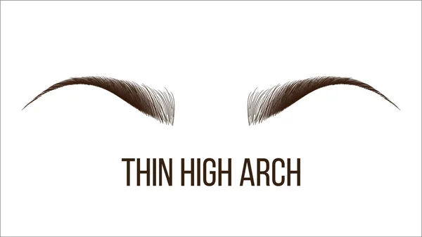 Thin High Arch Vector Hand Drawn Brows Shape