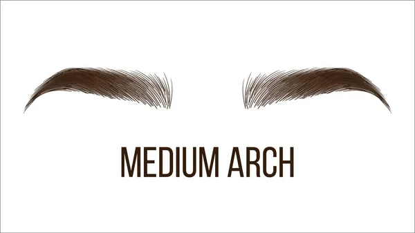 Medium Arch Brows form vektor Webbbanner mall — Stock vektor