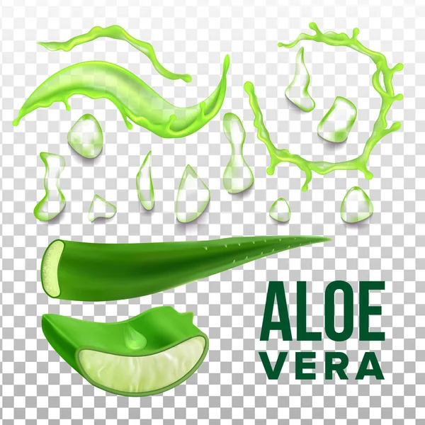 Elemen Eco Layanan Kesehatan Aloe Vera Set Vektor - Stok Vektor