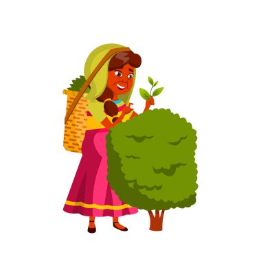 Hintli Yaşlı Kadın Vektörü. Yaşlı insanlar. Kıdemli Kişi. İzole Karikatür İllüstrasyon