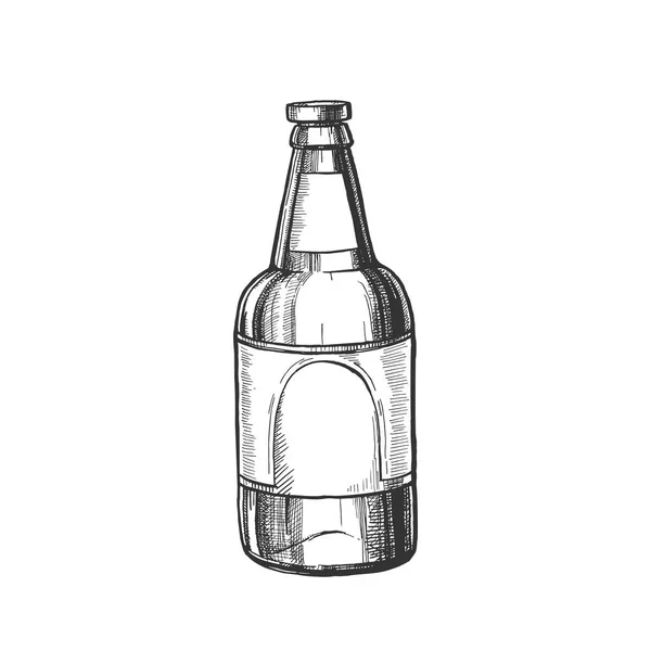 Bouteille en verre classique dessinée à la main de vecteur de bière — Image vectorielle