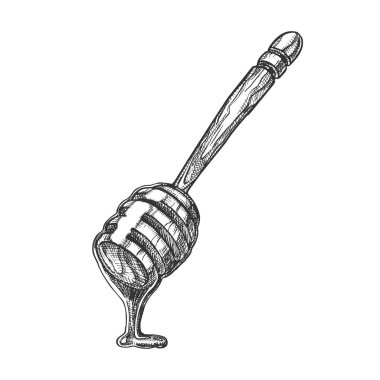 Ahşap Dipper Stick Vektöritibaren Bal Damlama