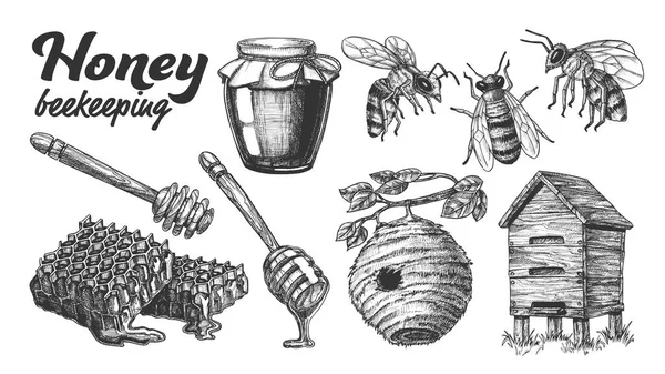 コレクション ミツバチ養蜂アピアリーセットベクトル — ストックベクタ