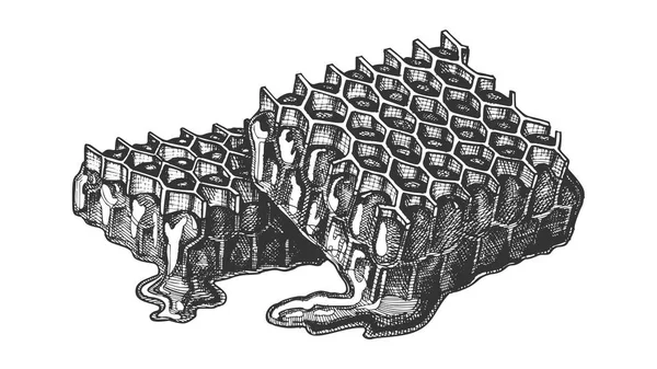 Honeycomb Piece med färsk ekologisk honung vektor — Stock vektor