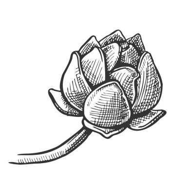 Tıp vektörü uygulanabilir Hop Tarım