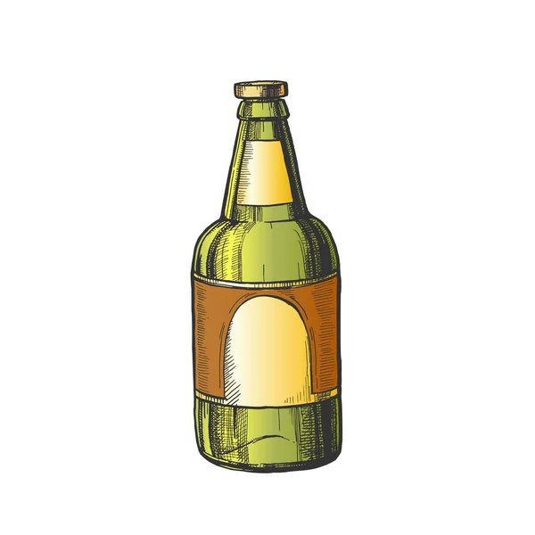 Hand getekende klassieke kleur fles van bier vector — Stockvector