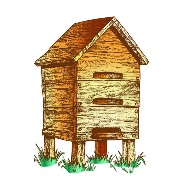 Apiário de colmeia de madeira da cor no vetor da apicultura da grama — Vetor de Stock