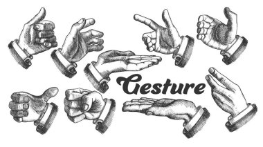 Collection of Different Gesture Set Vintage Vector vector Collection of Different Gesture Set Vintage Vector vector