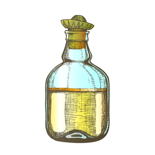 Χρώμα σχεδίαση κενή τεκίλα μπουκάλι μεξικάνικο καπέλο Cap διάνυσμα — Διανυσματικό Αρχείο