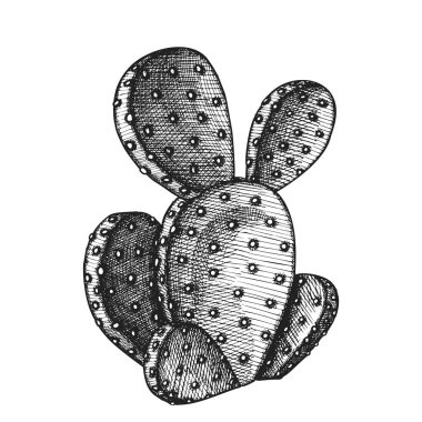 Opuntia Azurea Dikenli Armut Kaktüs Mürekkep Vektörü