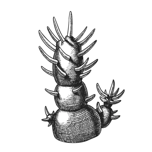 Vetor desenhado à mão decorativo do cacto da planta doméstica —  Vetores de Stock