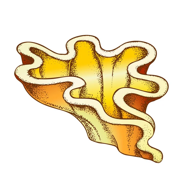 Dekorative Algen Algen Korallen Tinte Doodle Vektor — Stockvektor