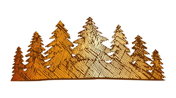 Renkli çizilmiş peyzaj Pineviz konik orman vektör — Stok Vektör