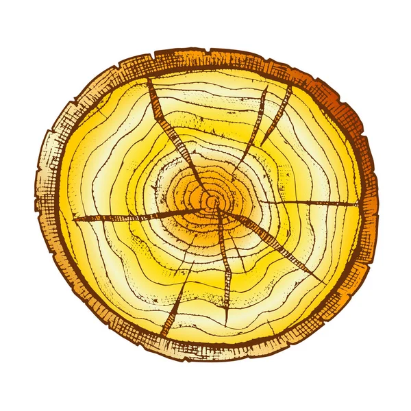 Color Round Wooden Cross Section With Tree Rings Vector — Stock Vector
