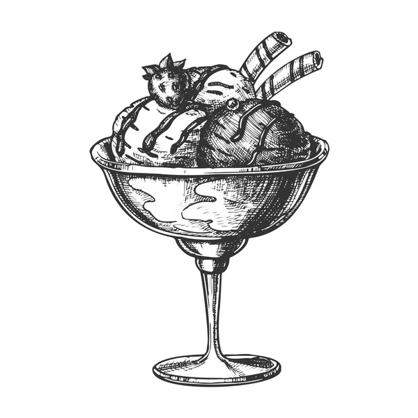Meyve el çizilmiş vektör Ile Scoop dondurma fincan — Stok Vektör