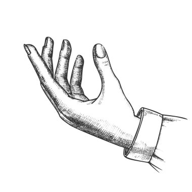 Kız El Hareketi Tutan Keman Handdrawn Vektör